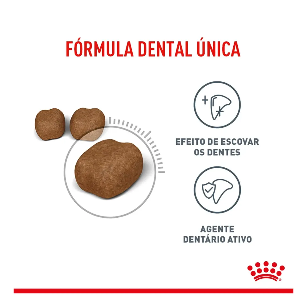Ração Royal Canin Dental Care para Gatos Adultos — foto 2