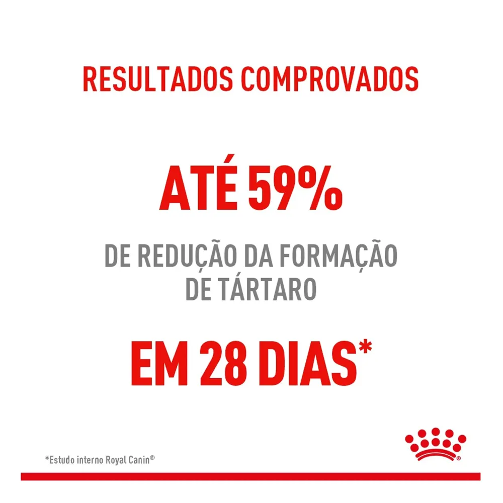 Ração Royal Canin Dental Care para Gatos Adultos — foto 6