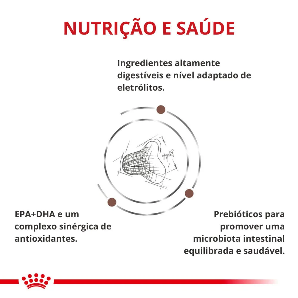 Ração Royal Canin Hepatic Gatos Adultos — foto 3
