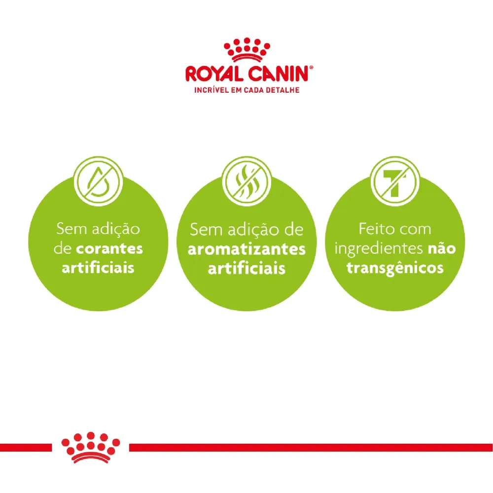 Ração Royal Canin Exigent para Gatos Adultos com Paladar Exigente — foto 3