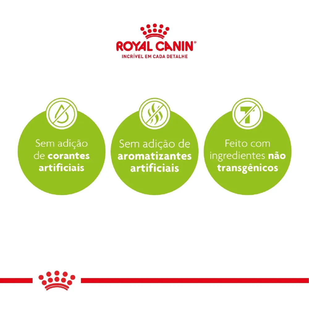 Ração Royal Canin Exigent para Gatos Adultos com Paladar Exigente — foto 6