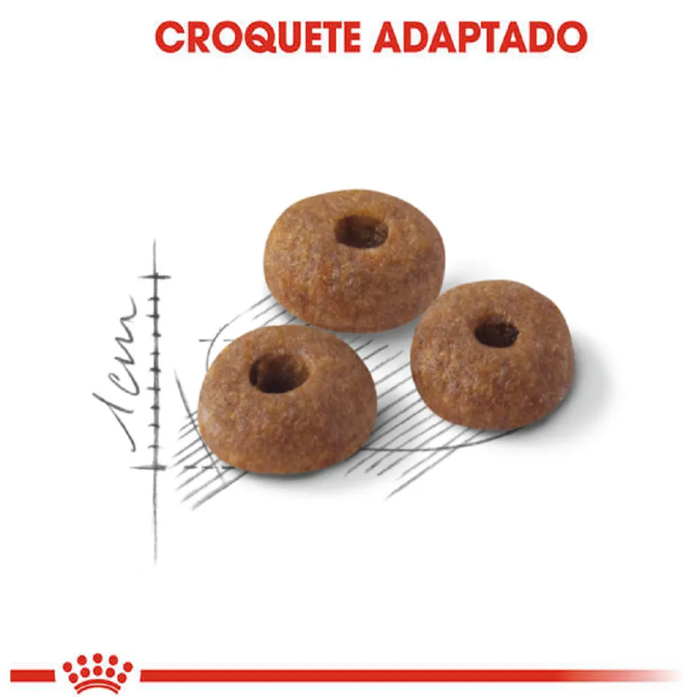 Ração Royal Canin Fit Gatos adultos — foto 3