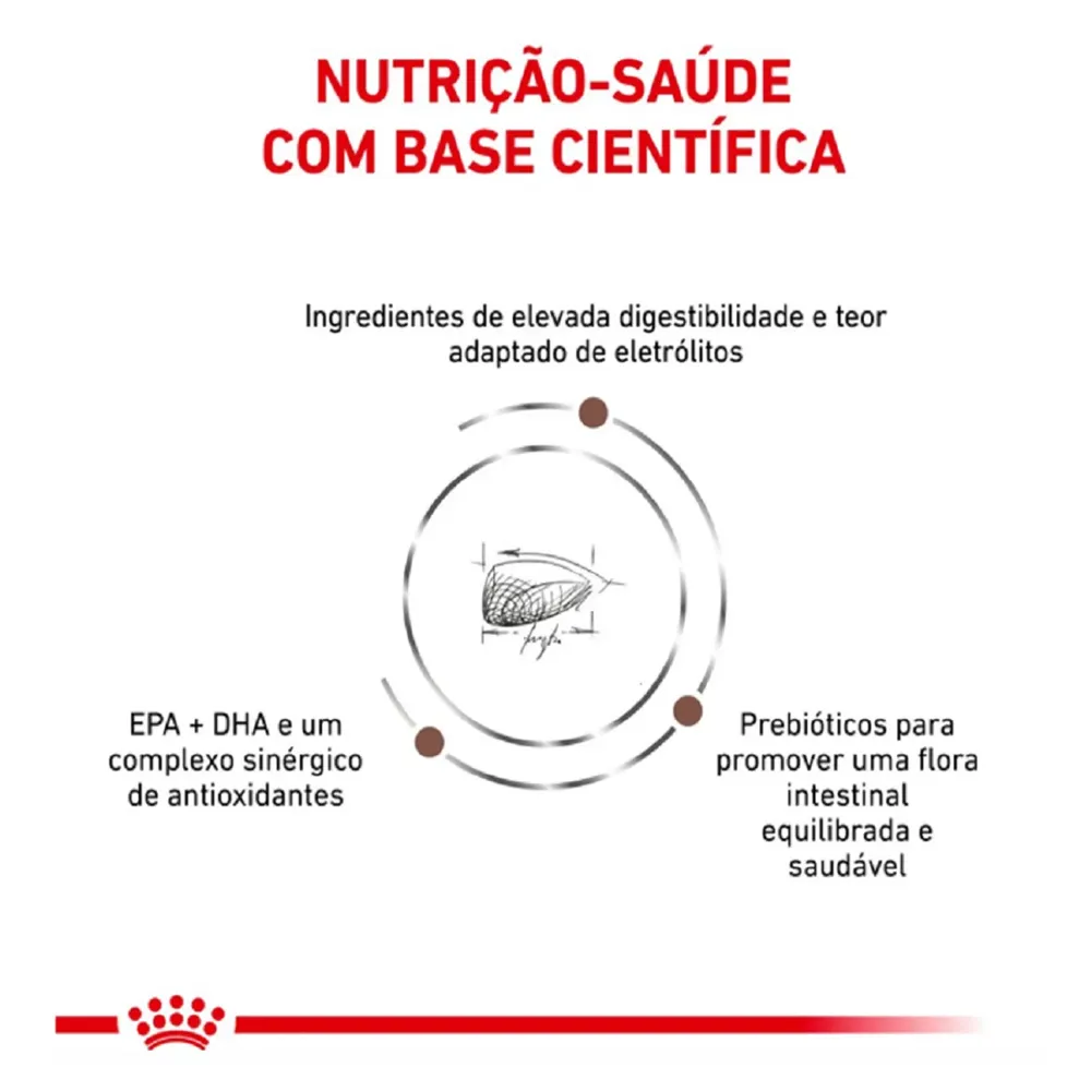 Ração Royal Canin Veterinary Diet Gastrointestinal Gatos Adultos — foto 3