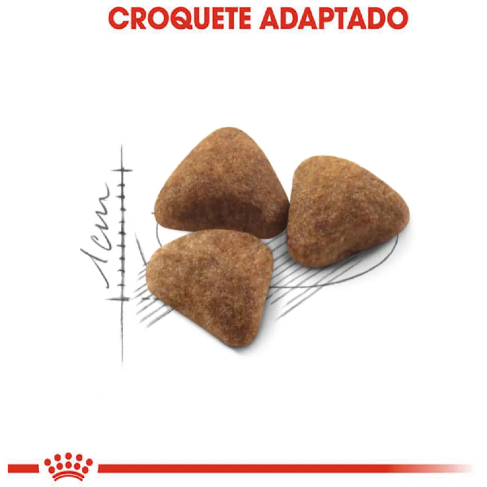 Ração Royal Canin Indoor Gatos Adultos — foto 3