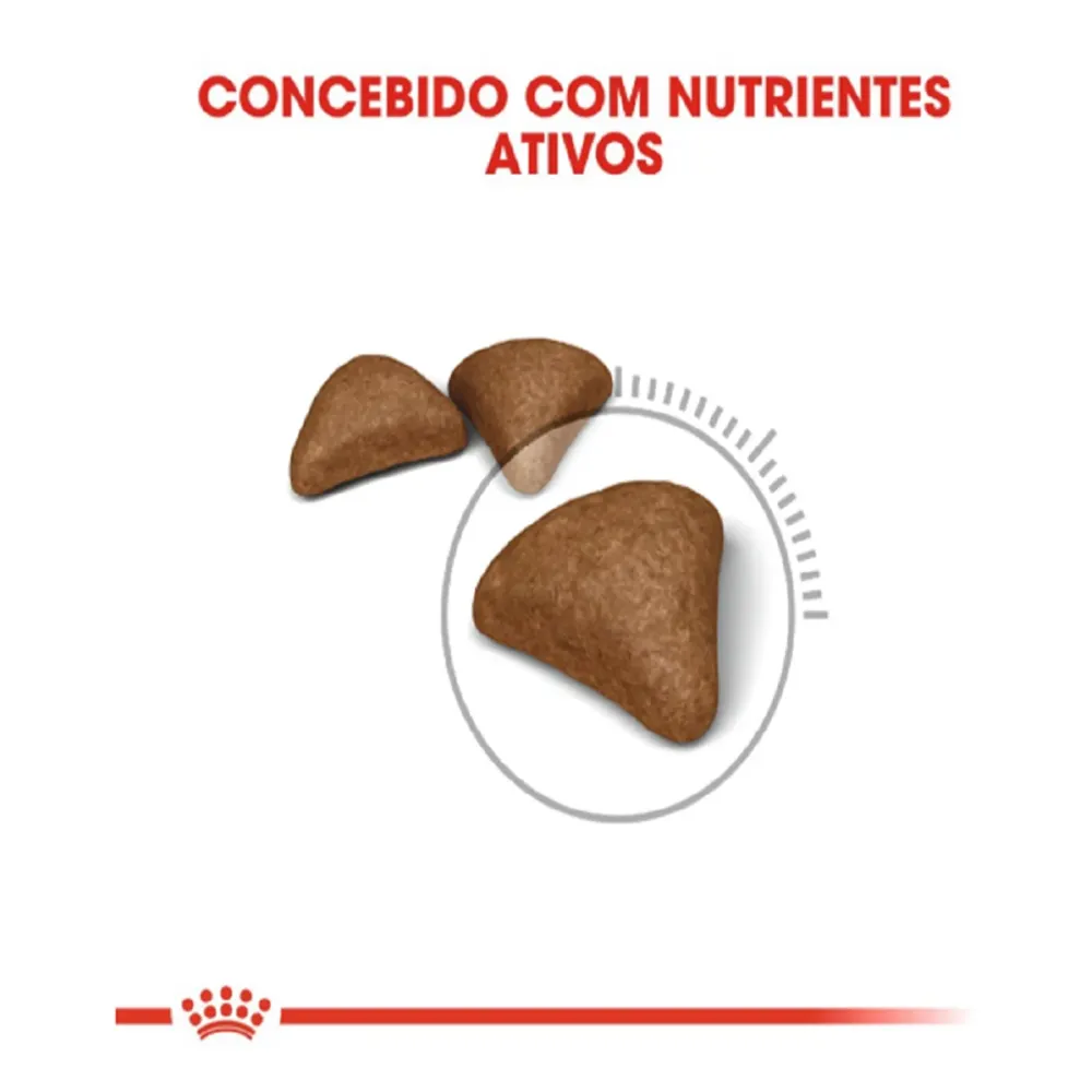 Ração Royal Canin Bolas de Pelo para Gatos Adultos — foto 2