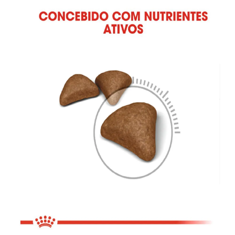 Ração Royal Canin Bolas de Pelo para Gatos Adultos — foto 5