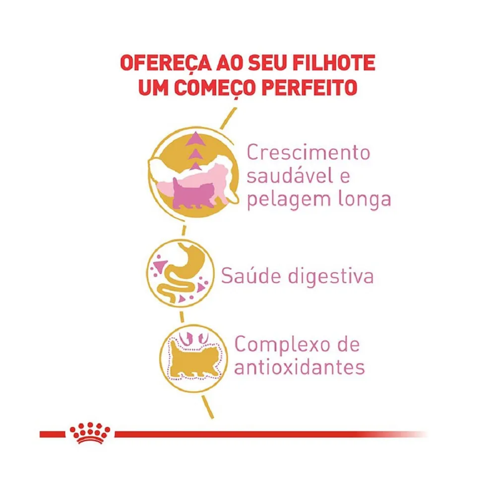 Ração Royal Canin Kitten Persa Gatos Filhotes — foto 2