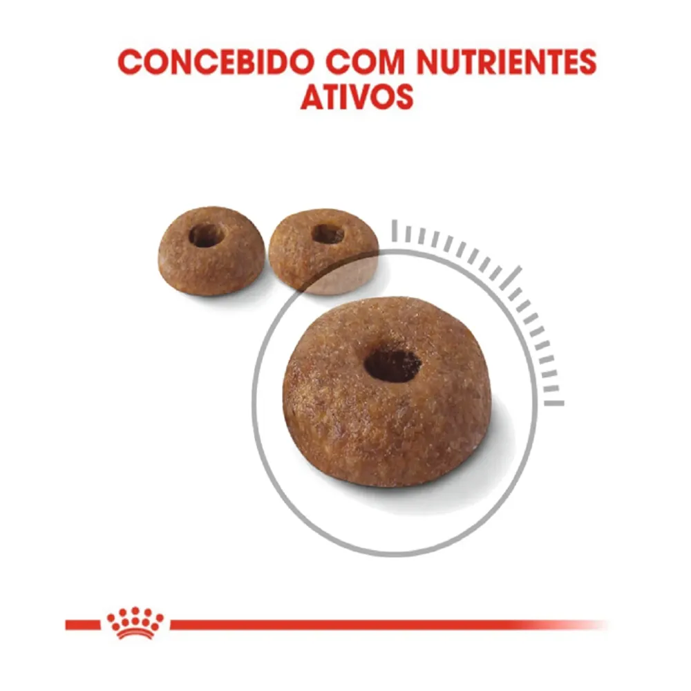 Ração Royal Canin Light para Gatos Adultos — foto 5