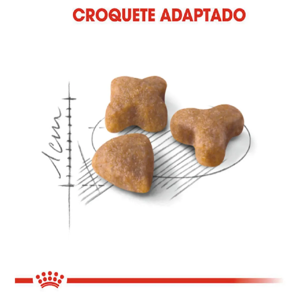 Ração Royal Canin Sensible Gatos Adultos — foto 3