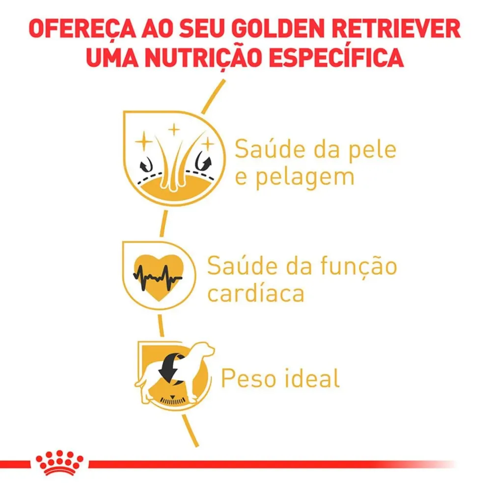 Ração Royal Canin Golden Retriever Cães Adultos — foto 4