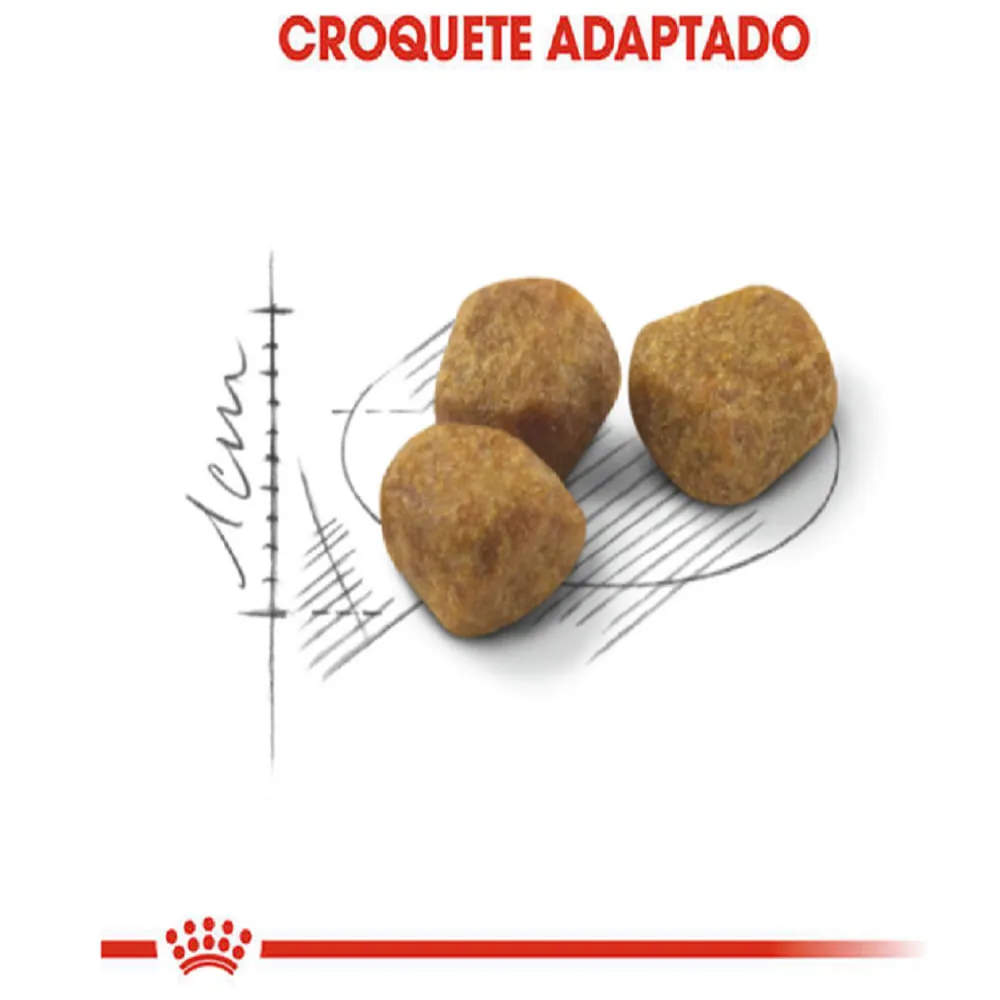Ração Royal Canin Indoor 7 + Gatos Adultos — foto 3