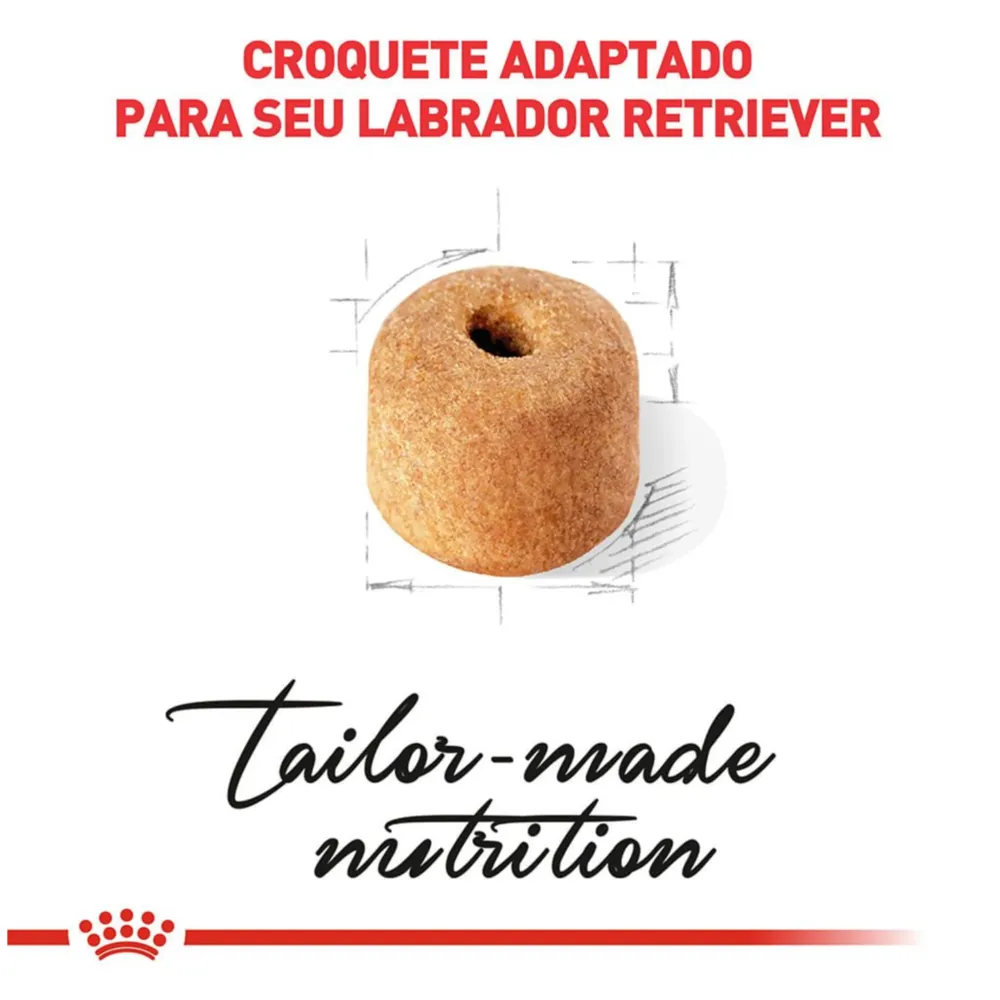 Ração Royal Canin Labrador Retriever Cães Adultos — foto 2
