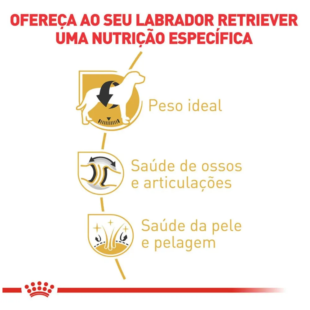 Ração Royal Canin Labrador Retriever Cães Adultos — foto 3