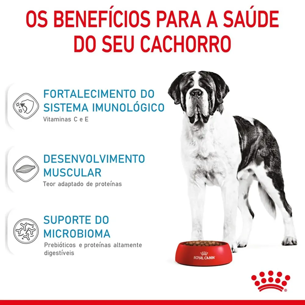 Ração Royal Canin Giant Puppy para Cães Gigantes Filhotes de 8 a 24 meses — foto 3