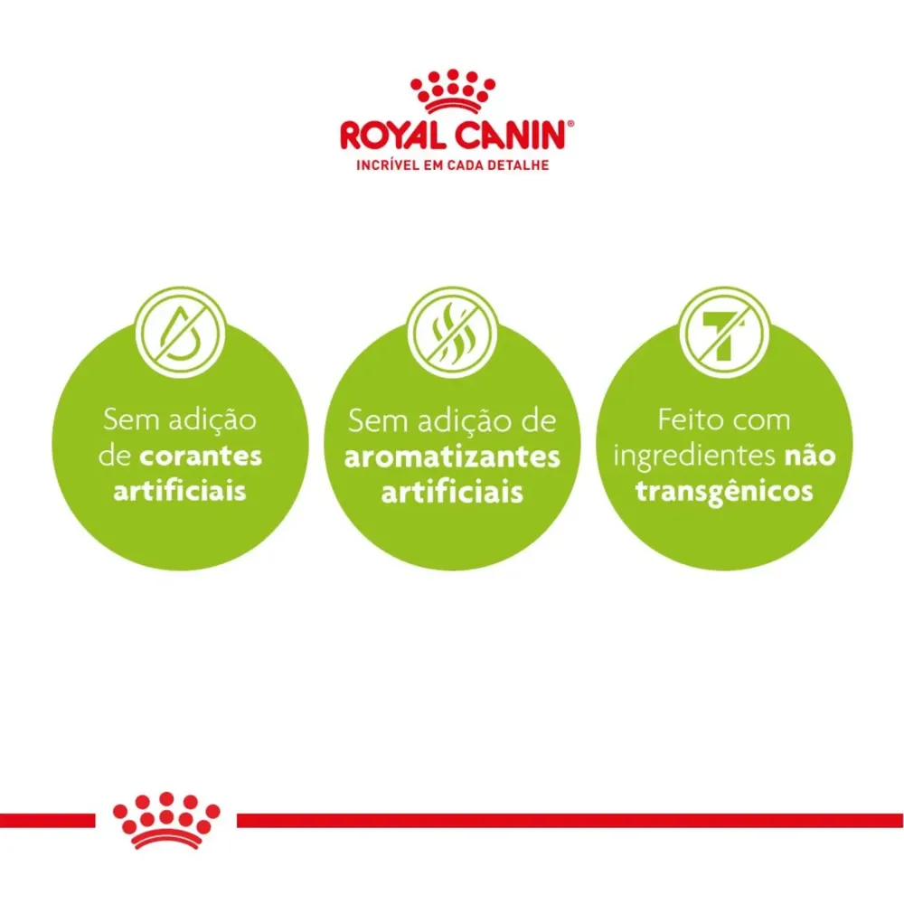 Ração Royal Canin Maxi Light Cães Adultos e Idosos Porte Grande com Tendência à Obesidade — foto 2