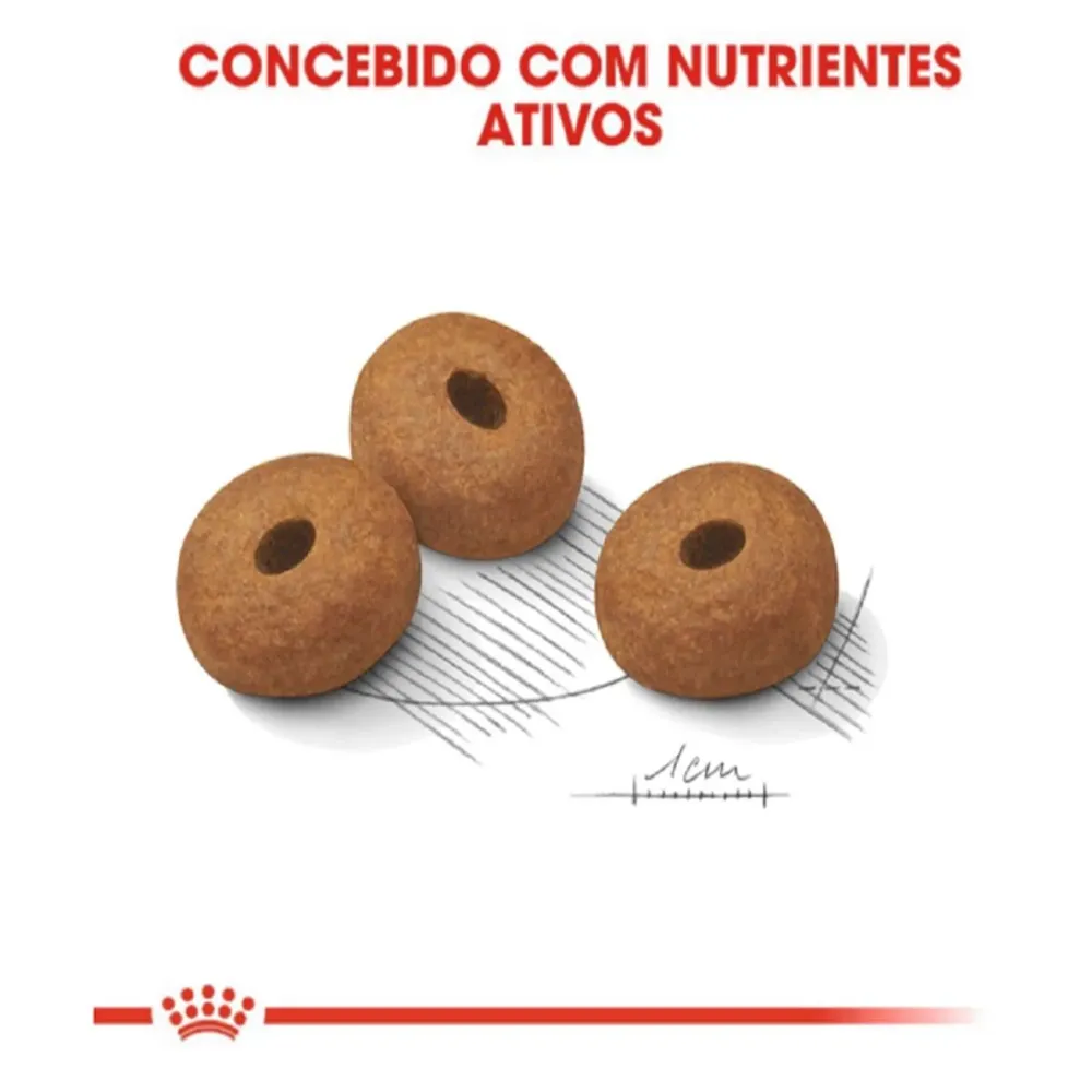 Ração Royal Canin Maxi Light Cães Adultos e Idosos Porte Grande com Tendência à Obesidade — foto 3