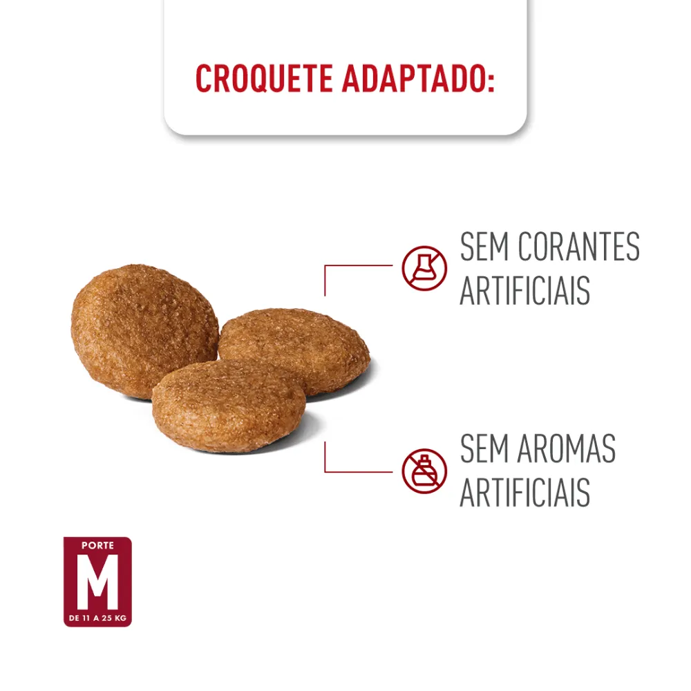 Ração Royal Canin Medium Adult para Cães Adultos Porte Médio — foto 5