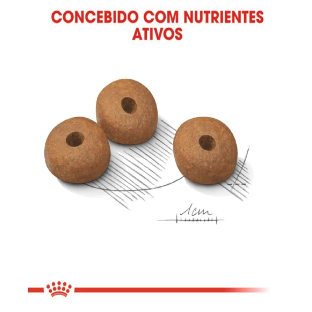 Ração Royal Canin Medium Light Cães Adultos e Idosos Porte Médio com Tendência à Obesidade — foto 3