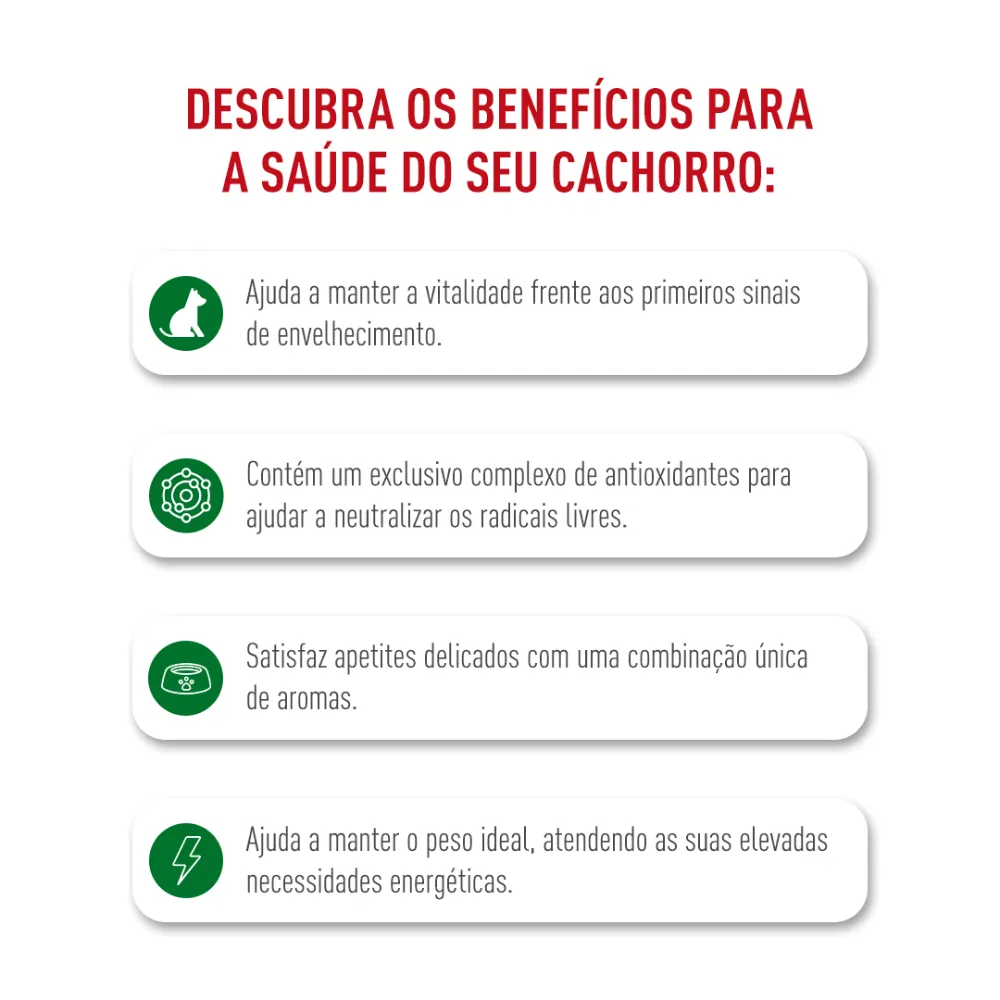 Ração Royal Canin Mini Adult 8+ Cães Adultos — foto 3