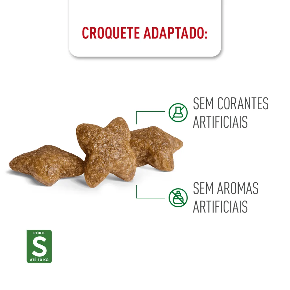 Ração Royal Canin Mini Adult 8+ Cães Adultos — foto 5