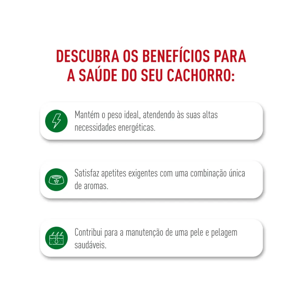 Ração Royal Canin Mini Adult Cães Adultos — foto 3