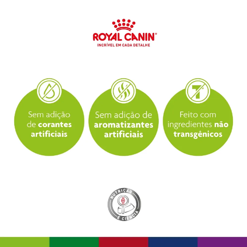 Ração Royal Canin Mini Indoor Adult Cães Adultos — foto 3
