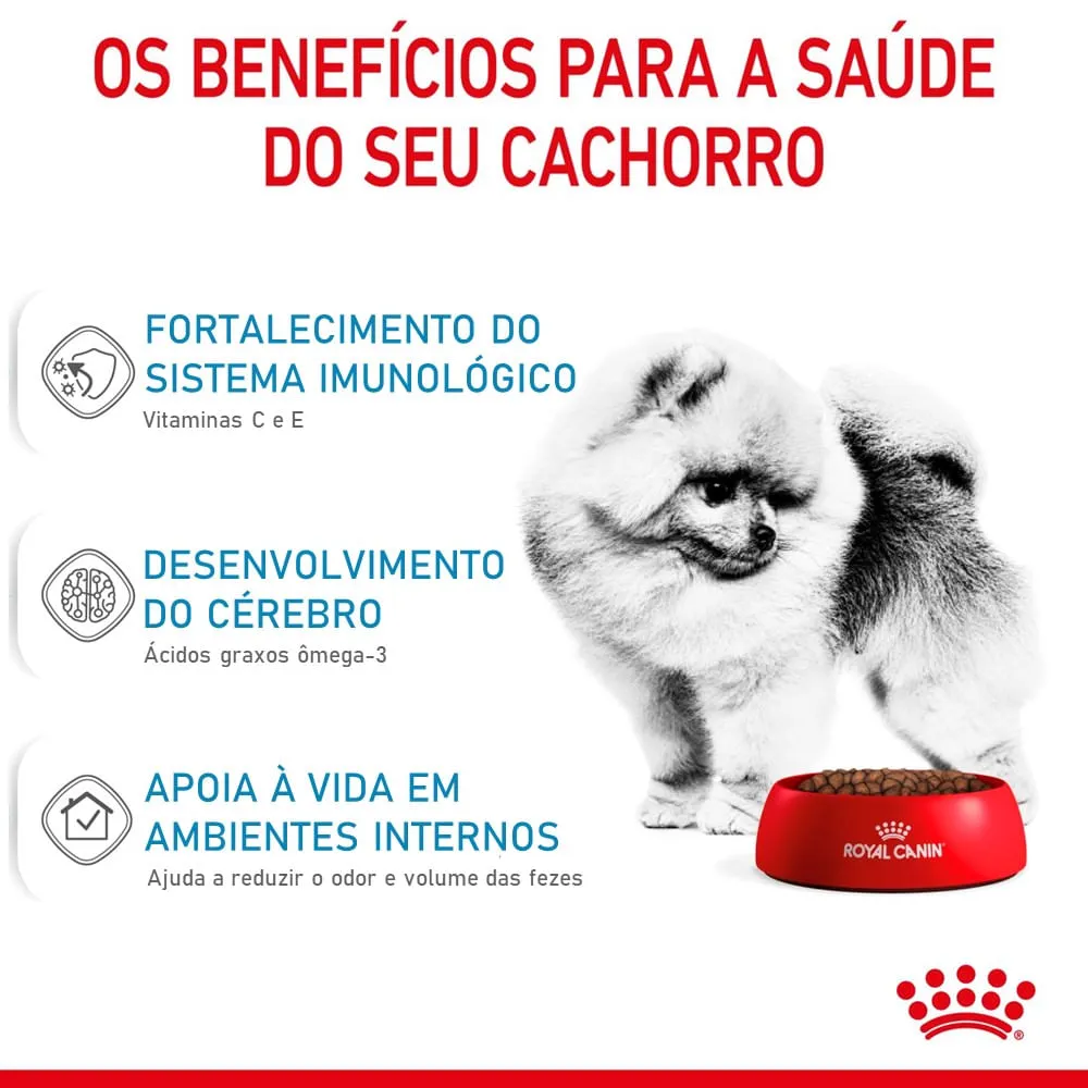 Ração Royal Canin Mini Indoor Cães Filhotes — foto 3
