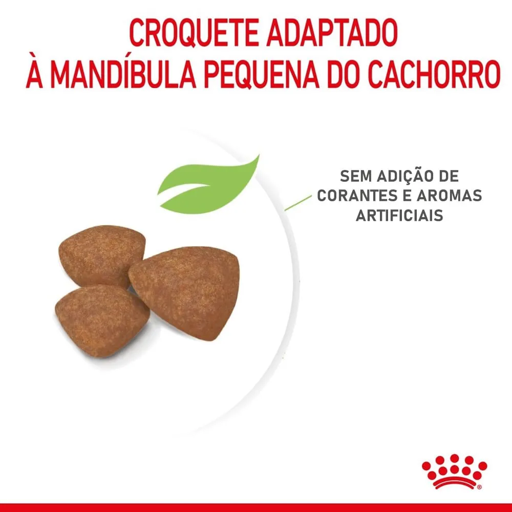 Ração Royal Canin Mini Indoor Cães Filhotes — foto 4