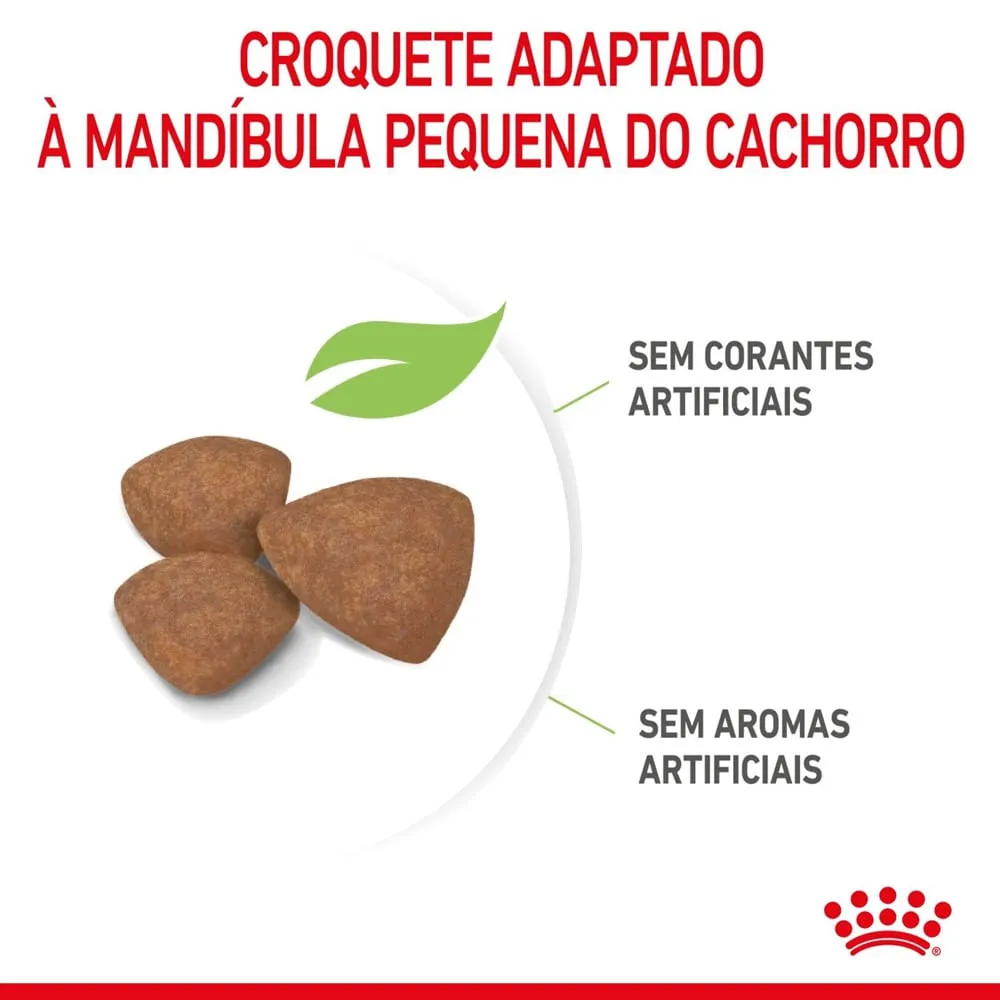 Ração Royal Canin Mini Puppy Cães Filhotes — foto 4
