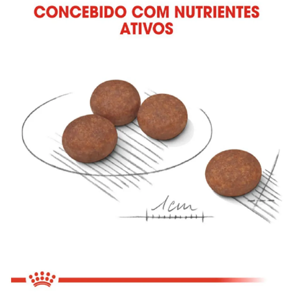 Ração Royal Canin Cuidado Digestivo Cães Adultos Porte Mini — foto 3