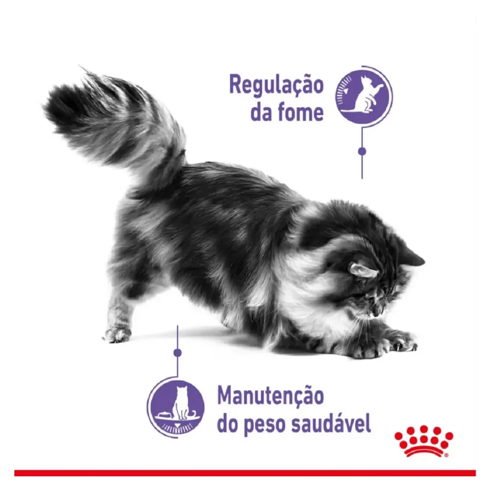 Ração Royal Canin Controle do Apetite para Gatos Adultos — foto 3