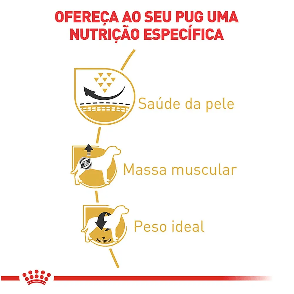 Ração Royal Canin Pug Cães Adultos — foto 2