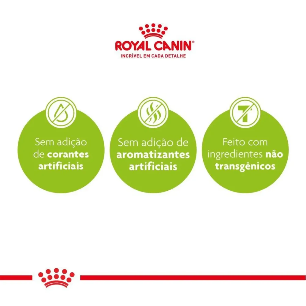 Ração Royal Canin Rottweiler Cães Adultos — foto 3