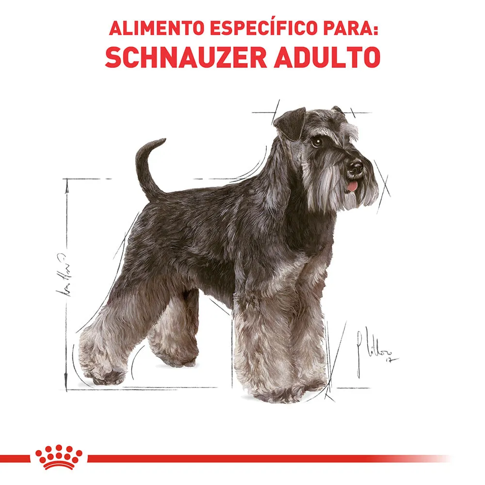 Ração Royal Canin Miniature Schnauzer Cães Adultos — foto 3