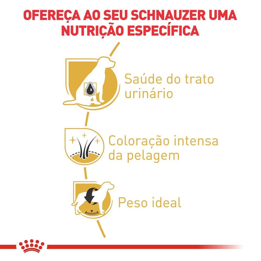 Ração Royal Canin Miniature Schnauzer Cães Adultos — foto 5