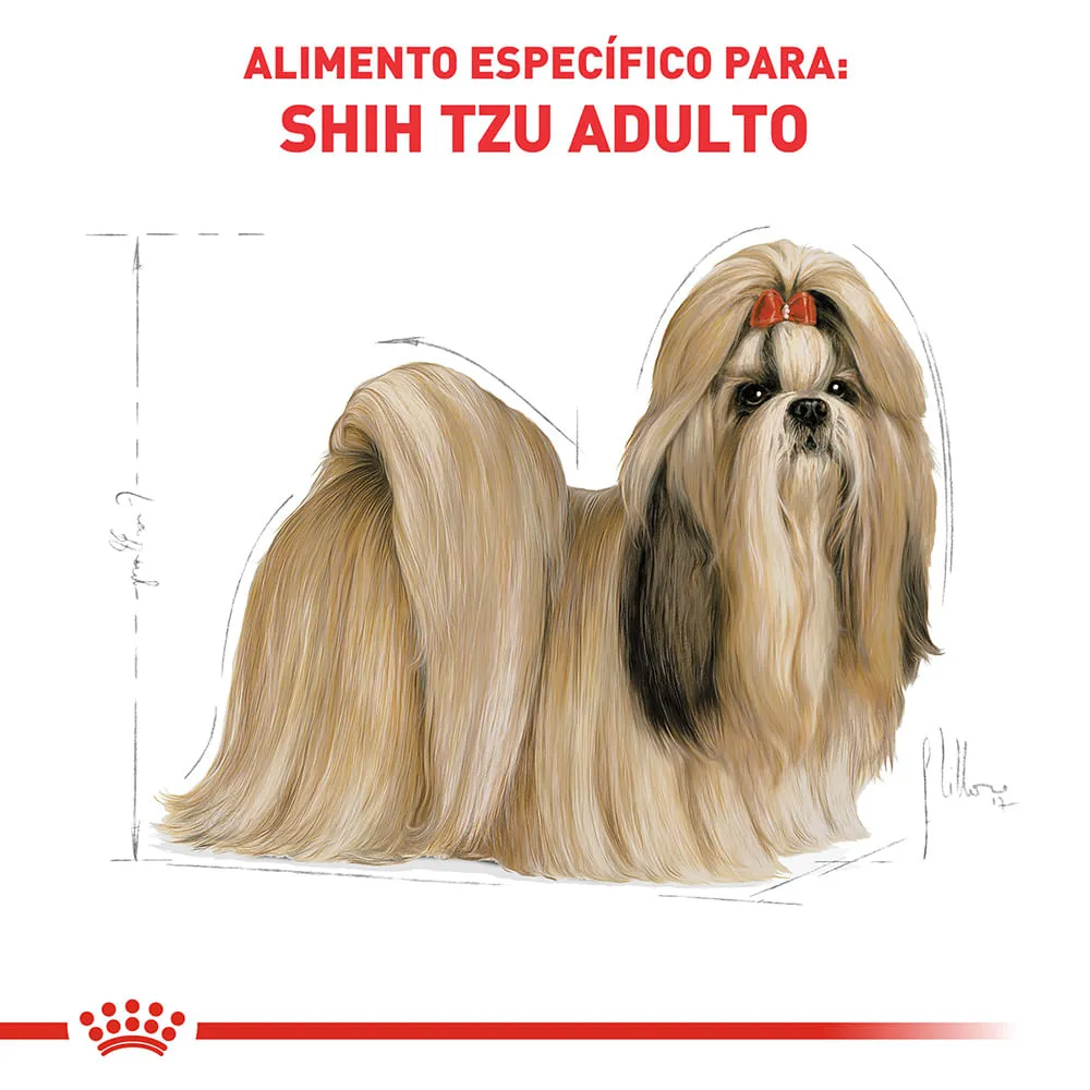 Ração Royal Canin Shih Tzu Cães Adultos — foto 3