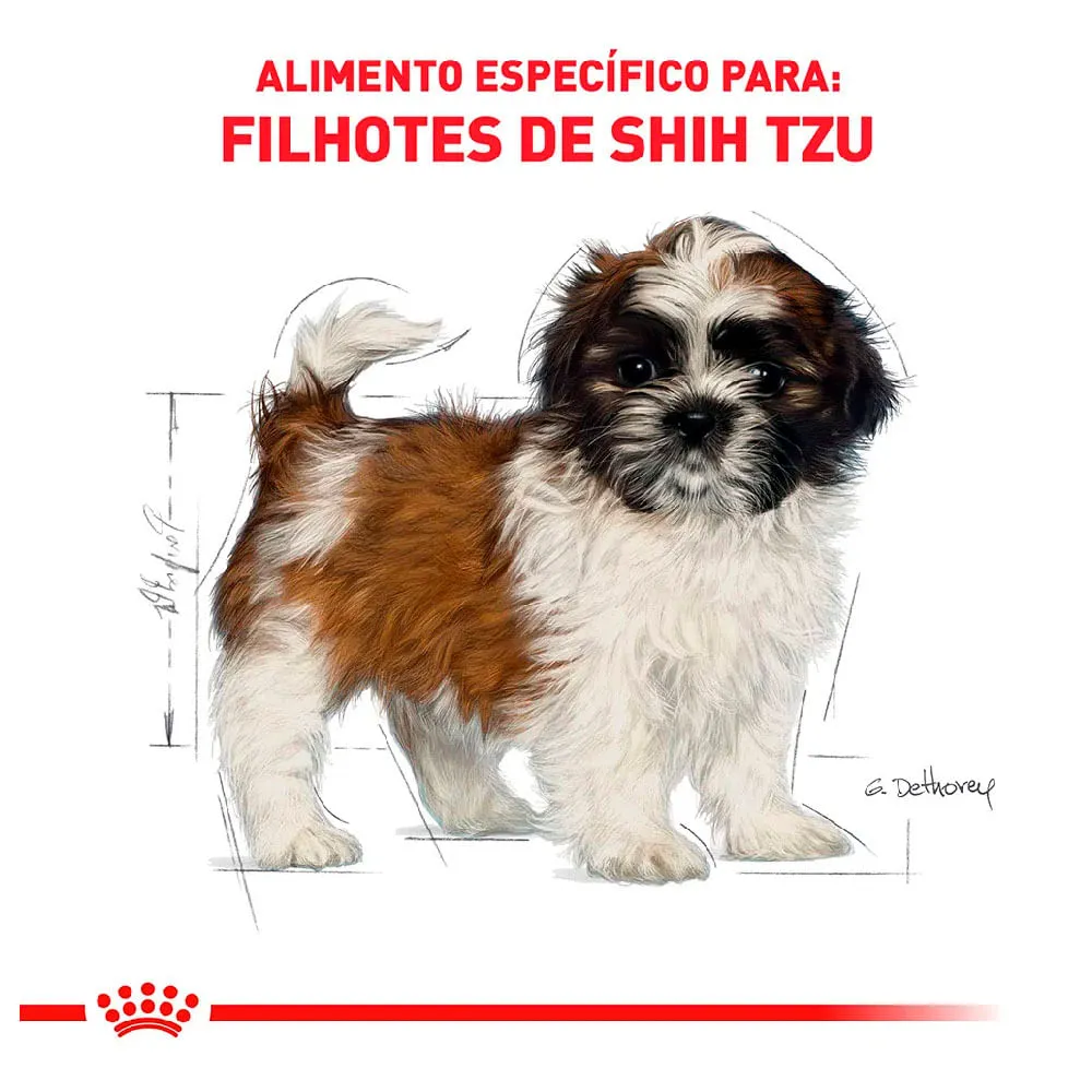 Ração Royal Canin Puppy Shih Tzu Cães Filhotes — foto 4