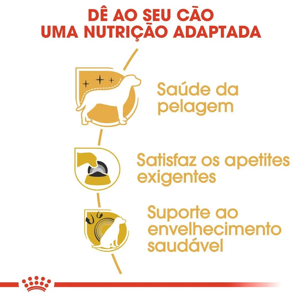 Ração Royal Canin Yorkshire Cães Adultos — foto 2