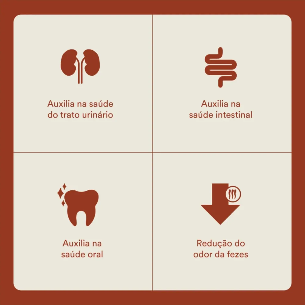 Ração Selections for Pets Gatos Castrados Salmão — foto 3