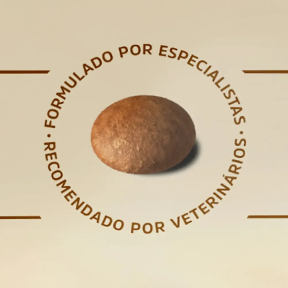Ração Special Dog Gold Performance Cães Adultos Frango e Carne — foto 5