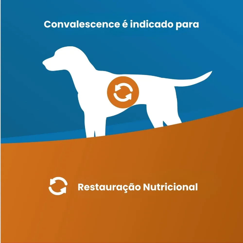 Ração Úmida Vet Life Convalescença para Cães — foto 2