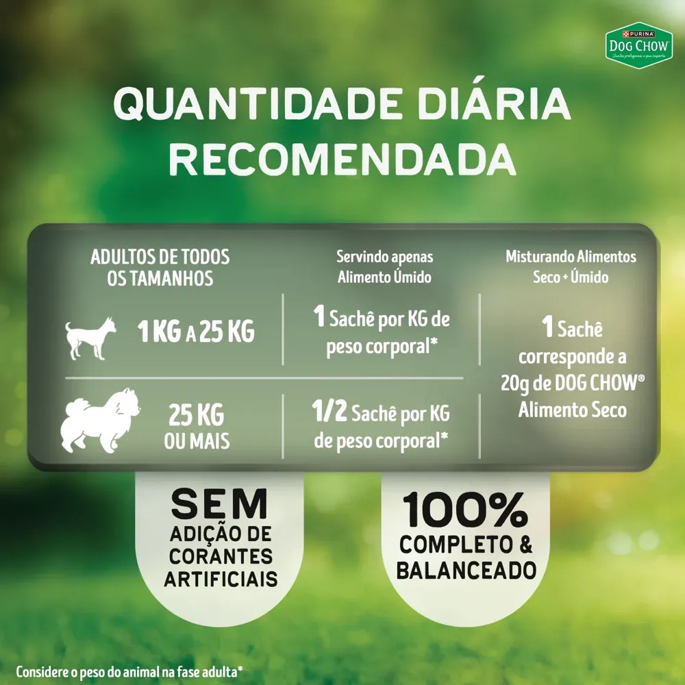 Ração Úmida Dog Chow Cães Adultos Alta Proteína Carne Porco e Frango — foto 6