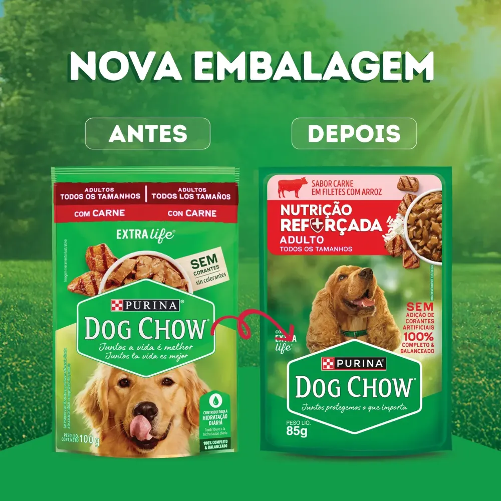 Ração Úmida Dog Chow Cães Adultos Nutrição Reforçada Carne em Filetes com Arroz — foto 4