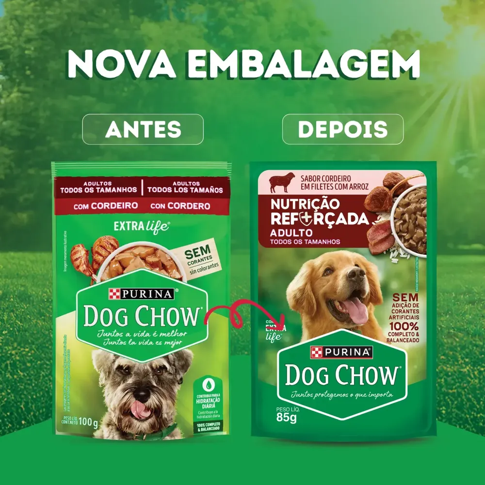 Ração Úmida Dog Chow Cães Adultos Nutrição Reforçada Cordeiro em Filetes com Arroz — foto 4