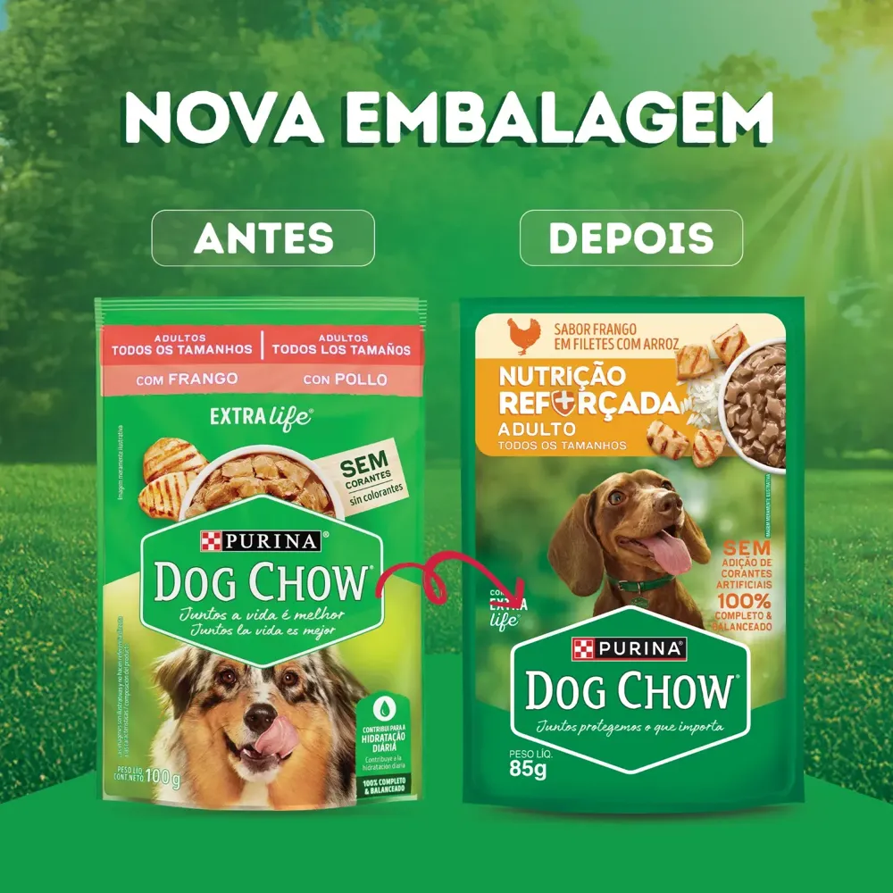 Ração Úmida Dog Chow Cães Adultos Nutrição Reforçada Frango em Filetes com Arroz — foto 4