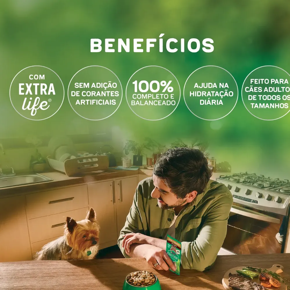 Ração Úmida Dog Chow Cães Adultos Nutrição Reforçada Frango em Filetes com Arroz — foto 5