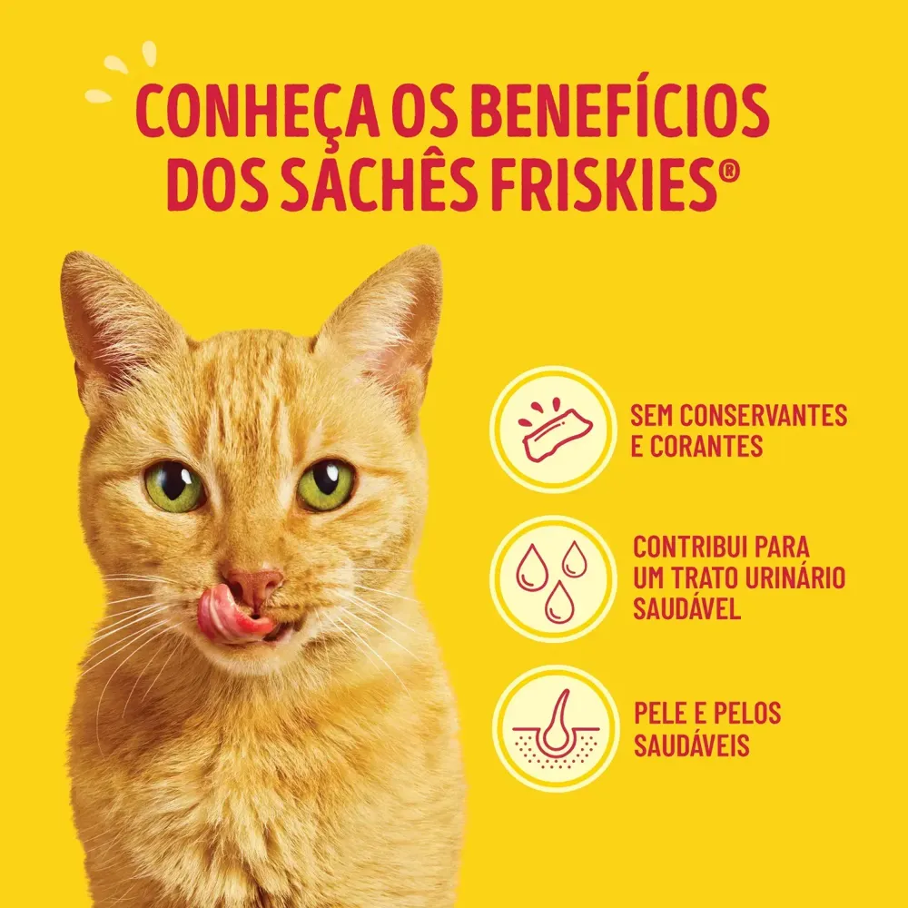 Ração Úmida Friskies Gatos Adultos Molho Cremoso Megamix — foto 4