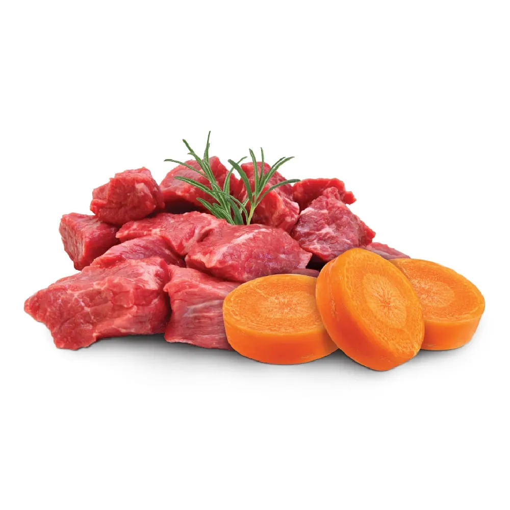 Ração Úmida GranPlus Cães Adultos Patê Gourmet Carne e Cenoura — foto 3