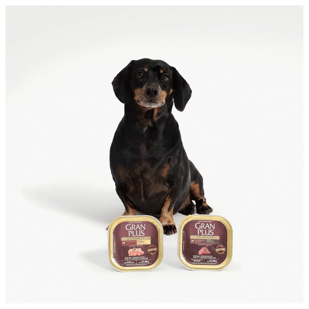Ração Úmida GranPlus Cães Filhotes Patê Gourmet Frango — foto 5