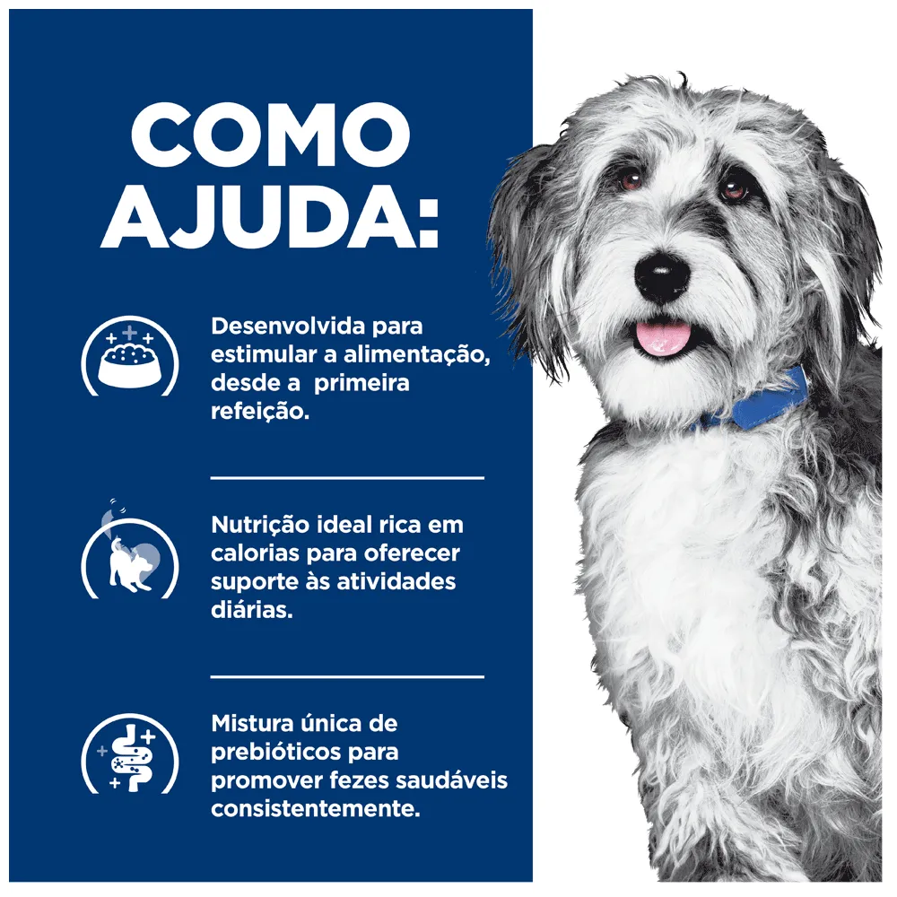 Ração Úmida Hill's Prescription Diet Cães ONC Care Cuidado Oncológico — foto 6